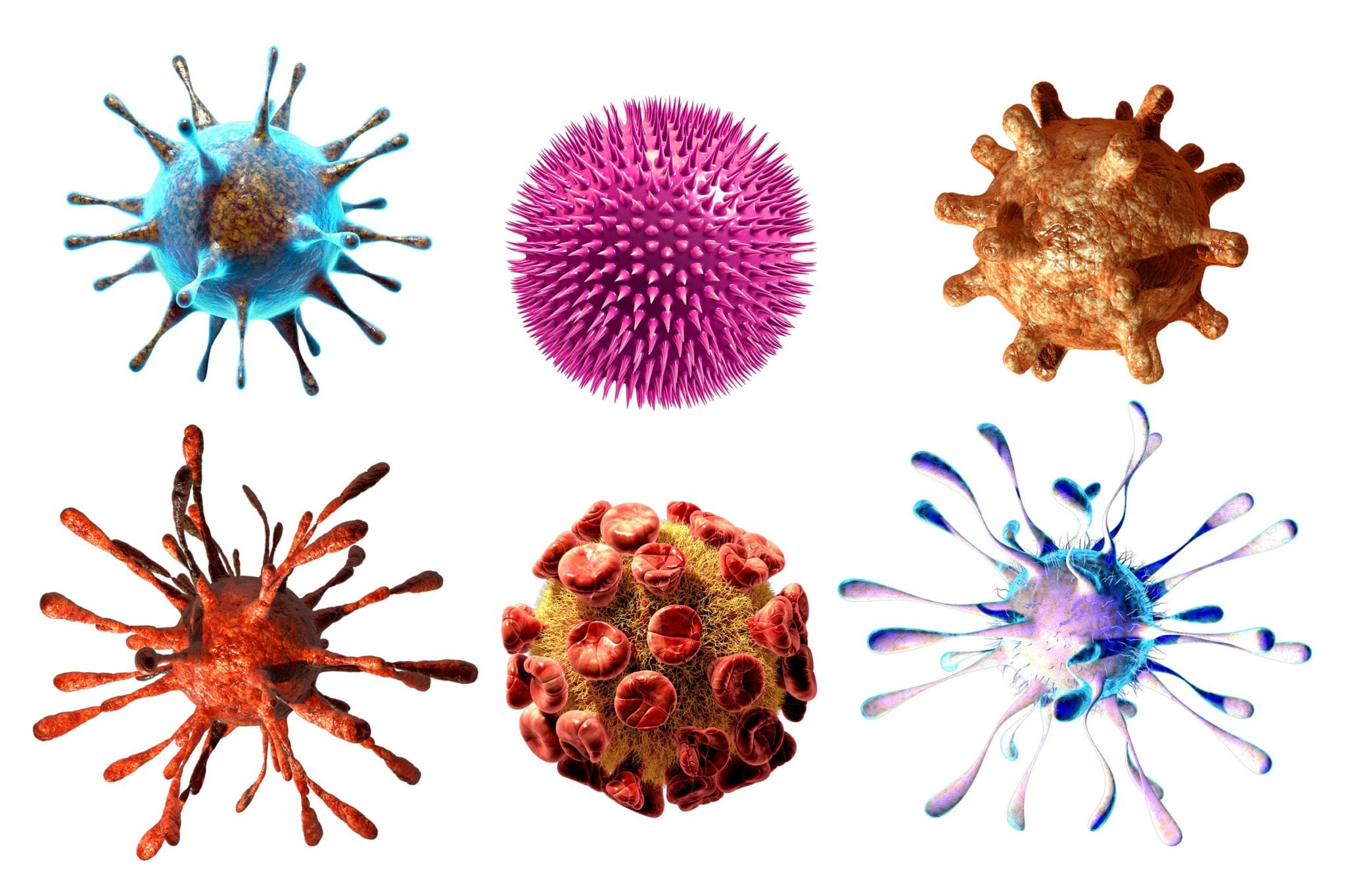 Germs on white background.