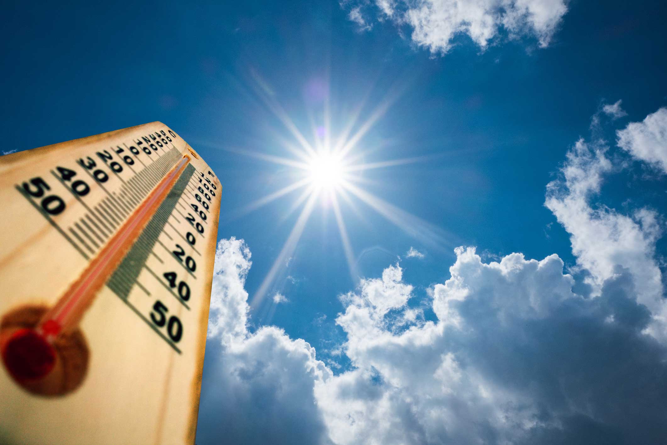 Thermometer under the sun.