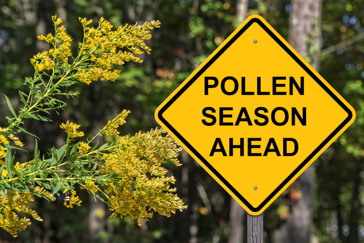 Seasonal Allergies