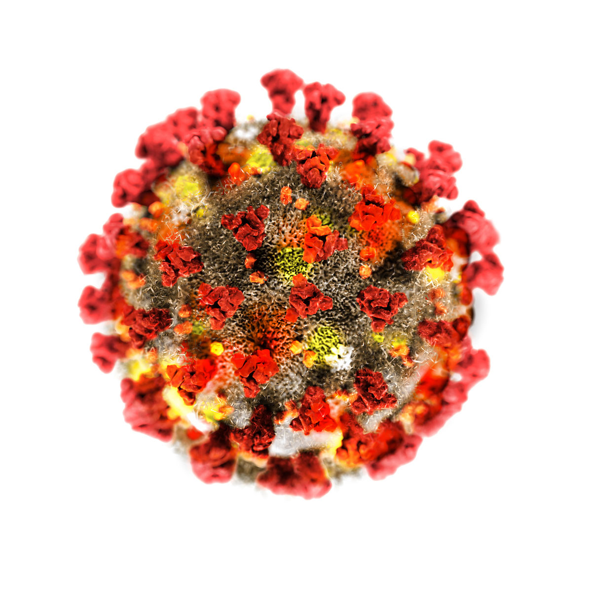 Coronavirus