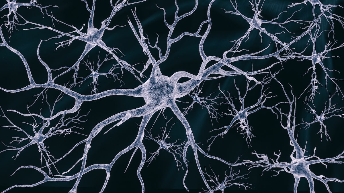 Parkinson's Research