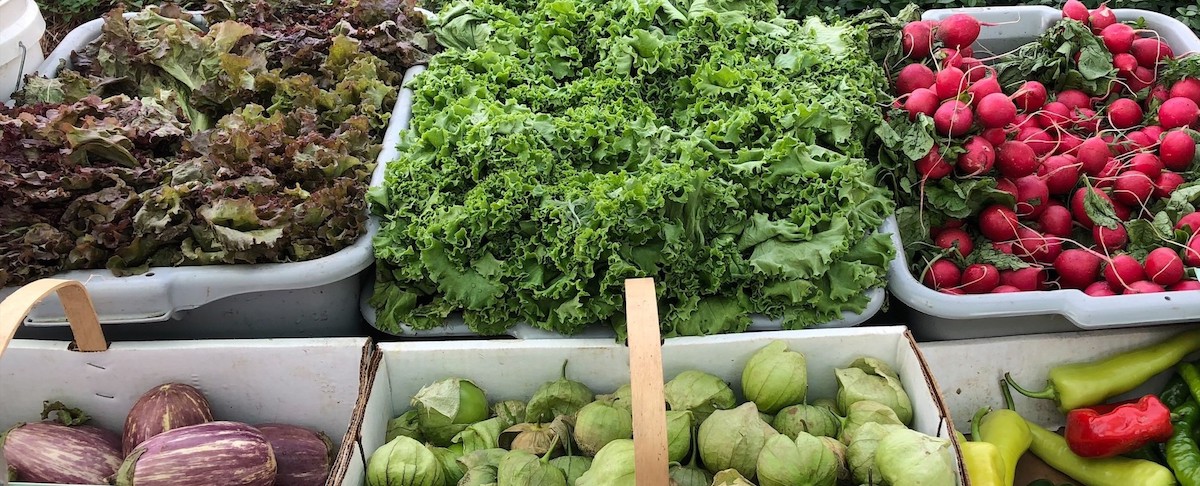 Veggie stand