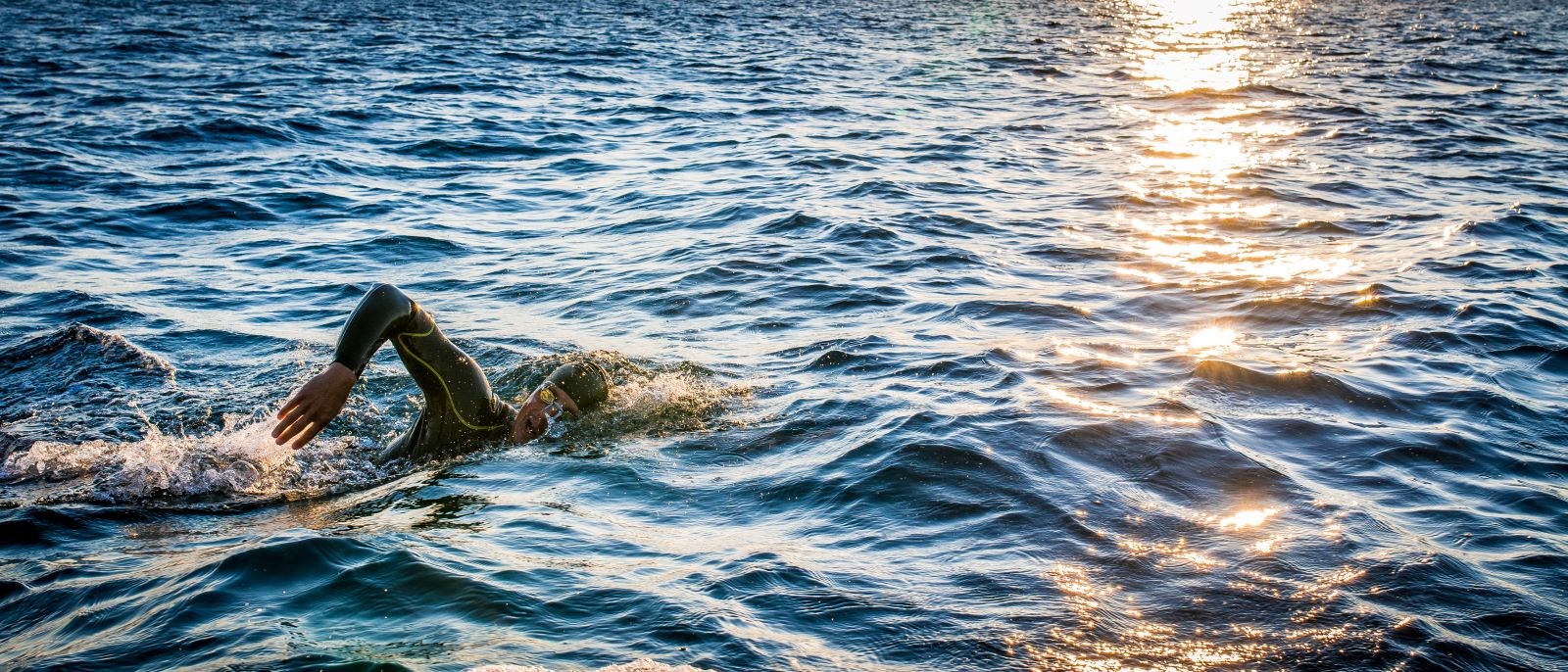 Swim Across the Sound