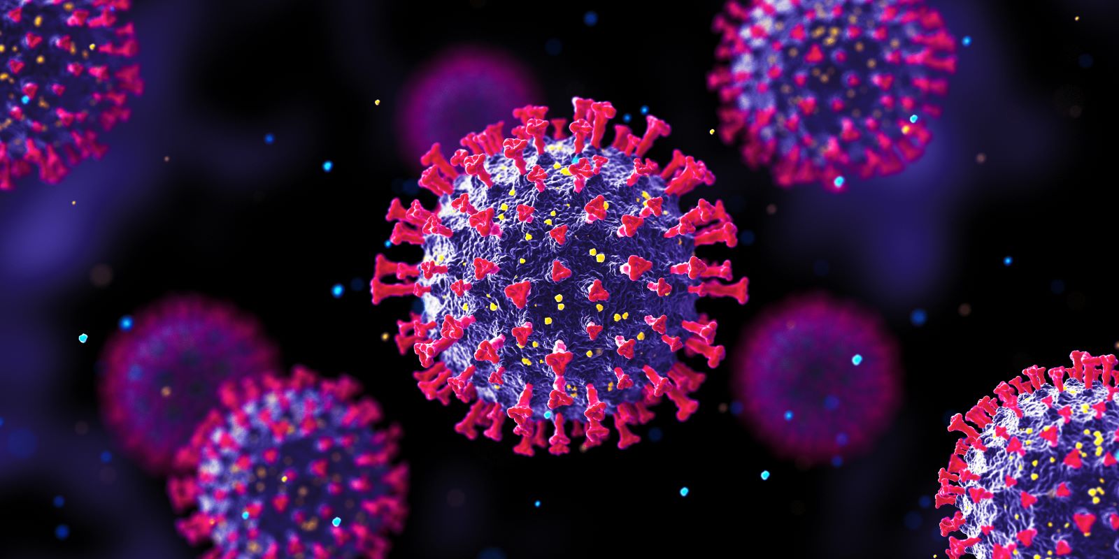 Virus