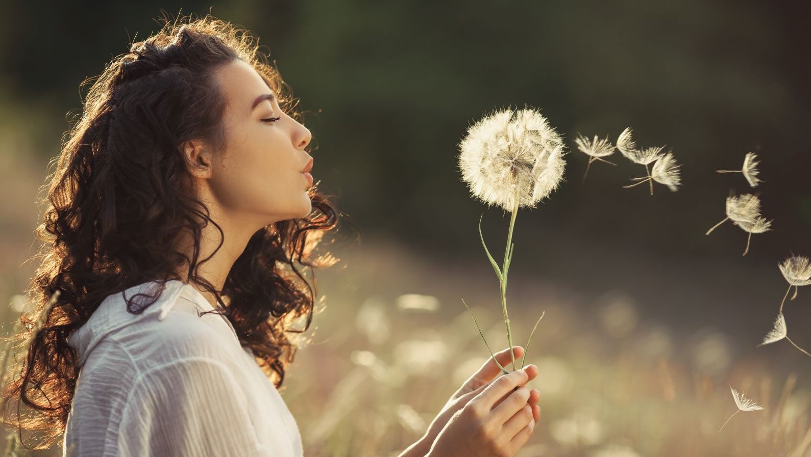 Wind Allergies