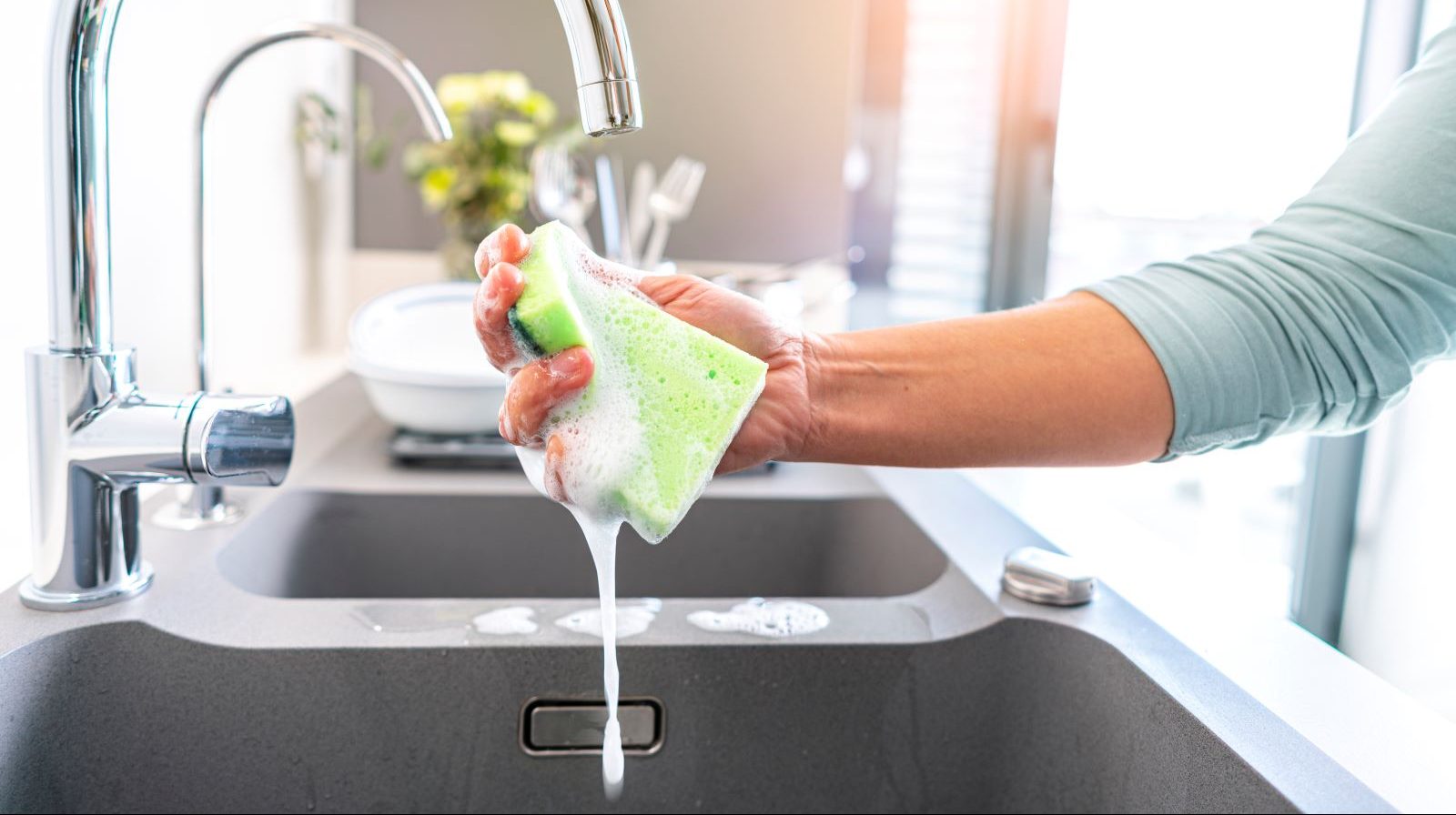 Kitchen Sponge