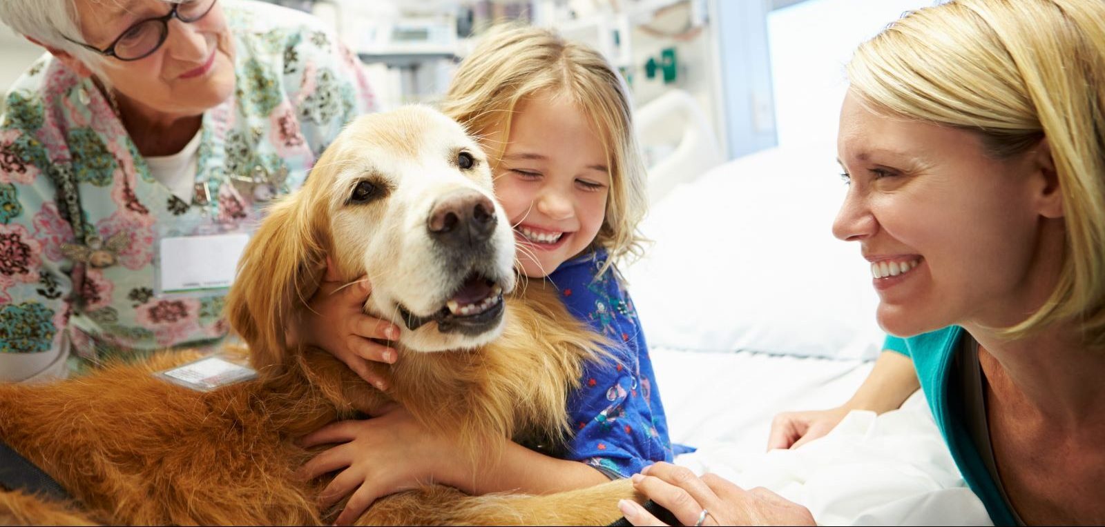 Hartford HealthCare therapy dog program.