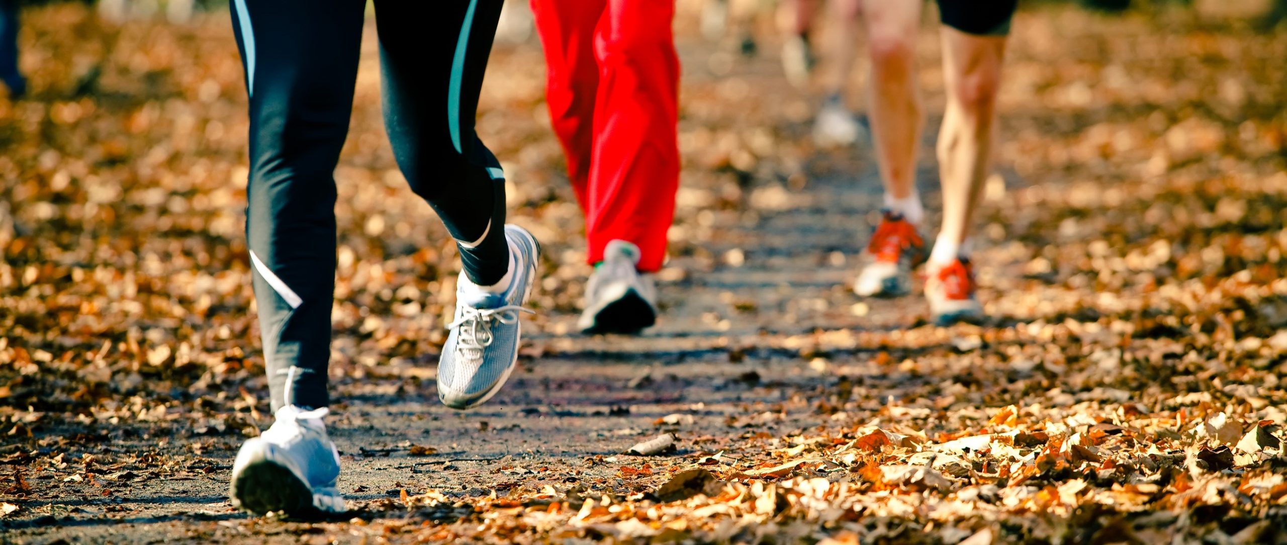 feet ankles turkey trot
