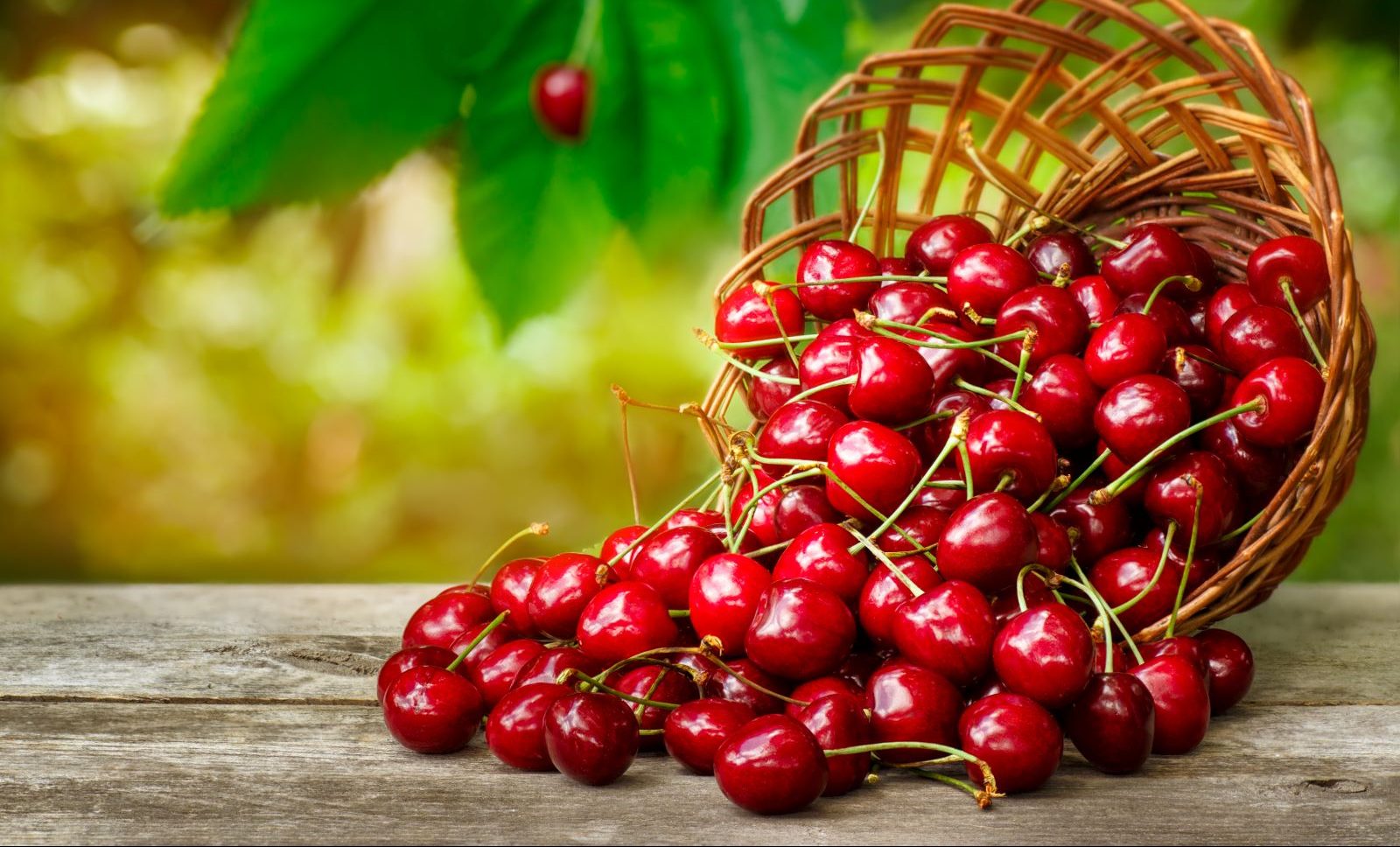 Summer’s produce bounty makes it easy to keep your skin healthy from the inside out. But which foods are the best for your skin?