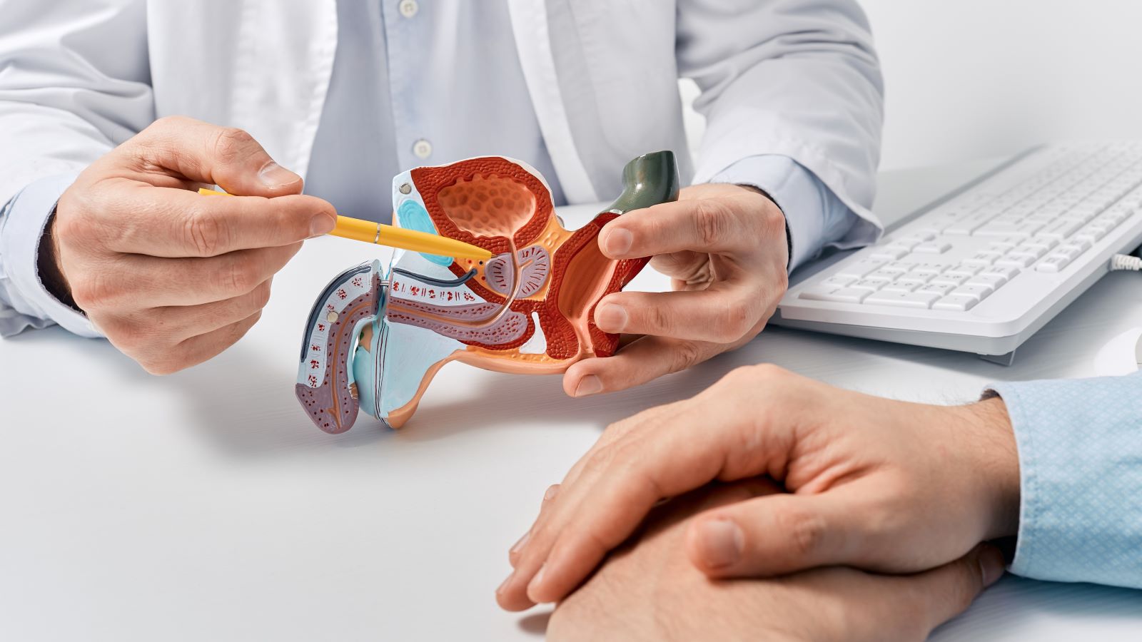 Here's what you, or the men in your life, need to know about prostate cancer screenings, according to an expert.