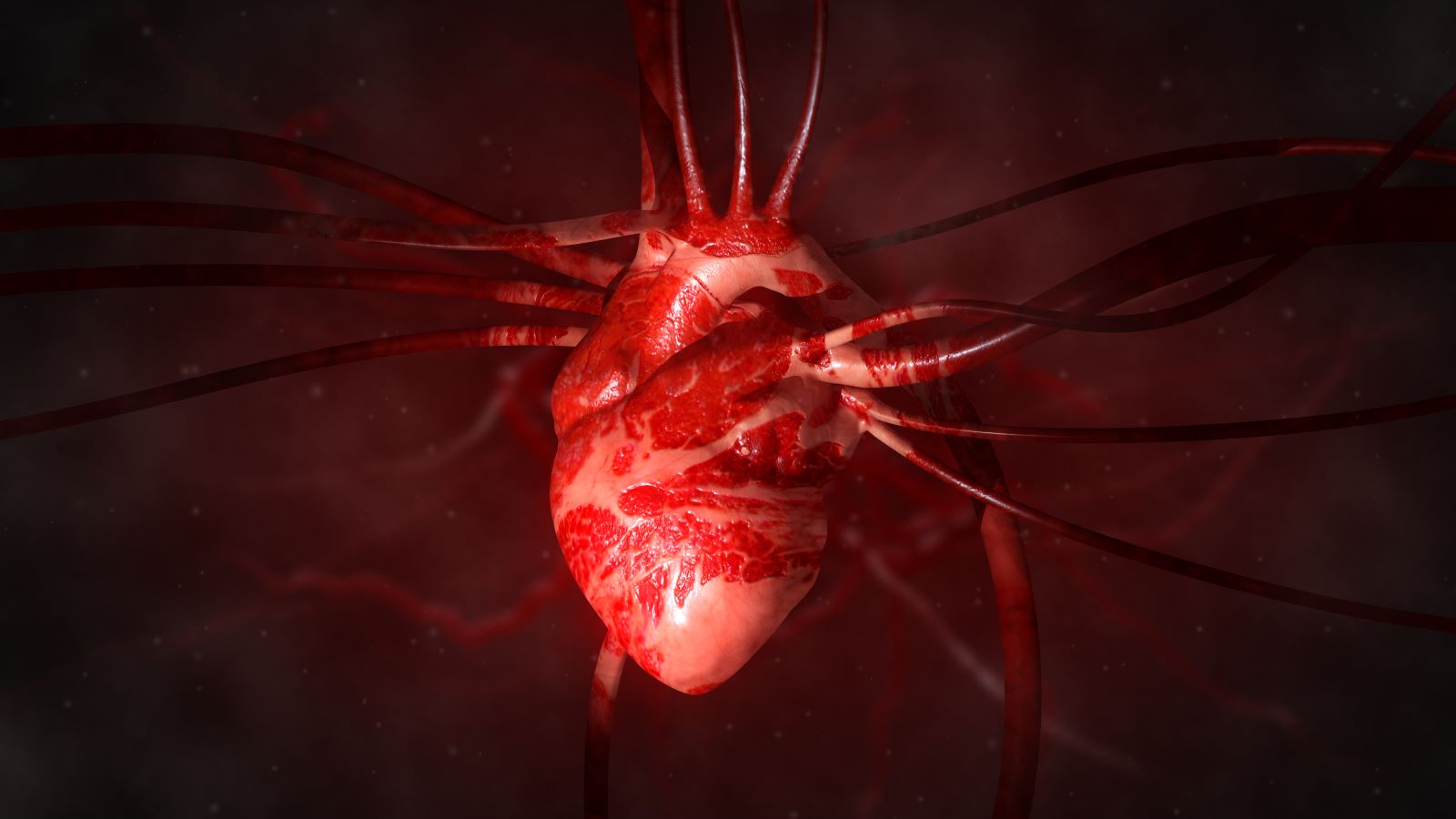 From angiogram to ECG to stress tests, here’s a guide to the heart tests and screenings your cardiologist might use.