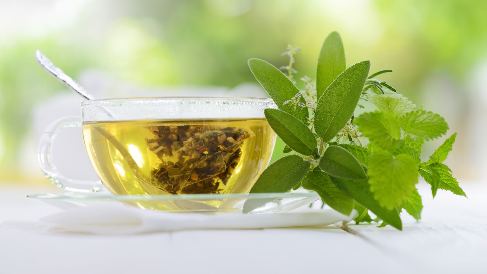 We asked an expert to break down the research on green tea and weight loss — and offer some practical tips for achieving a healthier weight.