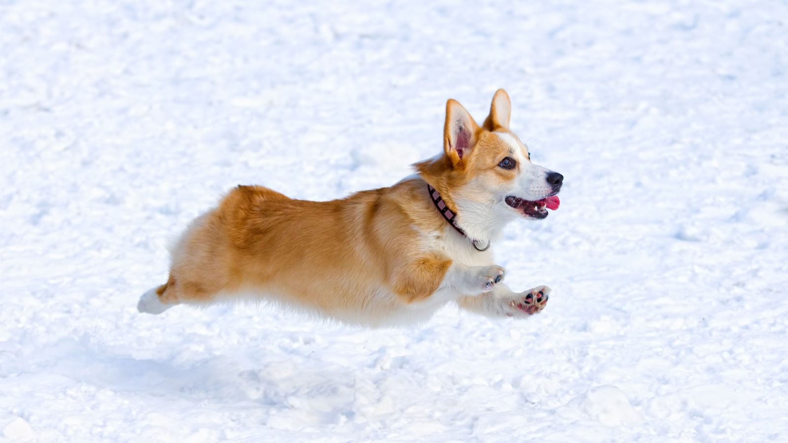 As the seasons change, so do factors that affect your overall well-being. A psychologist shares top mental health tips for winter.