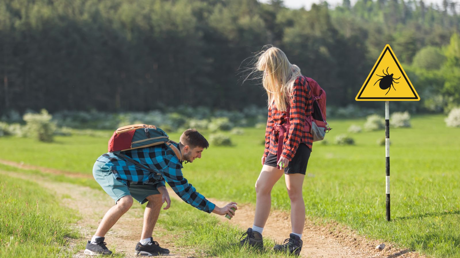 What to do if I find a tick on me