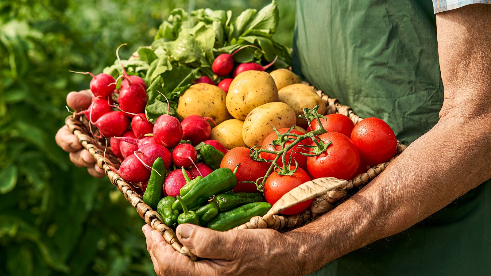 best vegetables