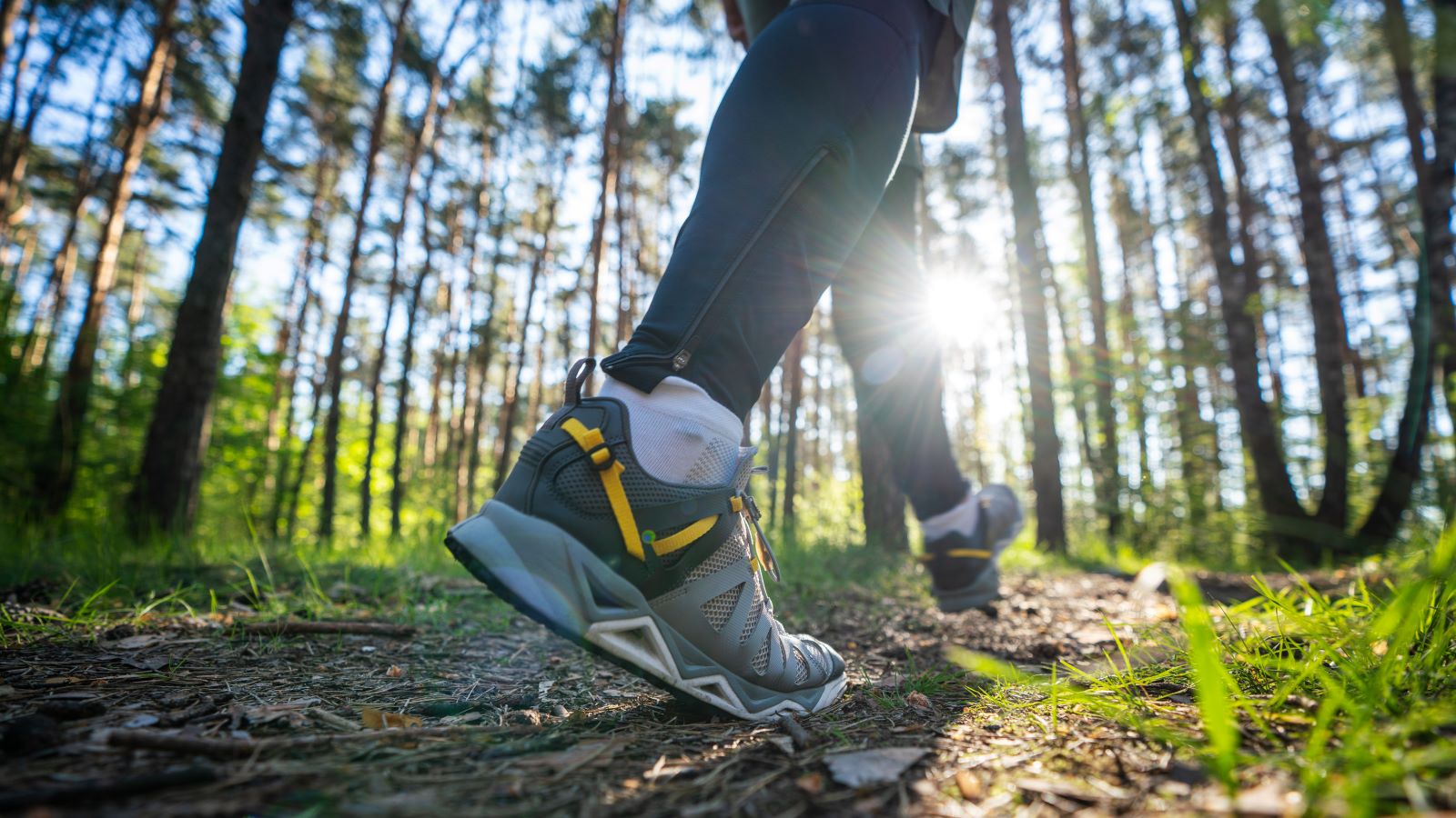 nature walk benefits